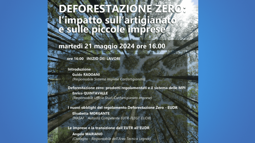 WEBINAR “Deforestazione zero: L’impatto sull’artigianato e sulle piccole imprese”